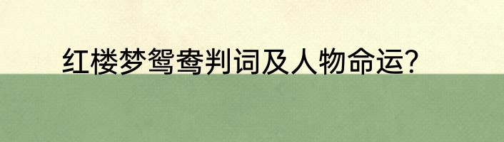 红楼梦鸳鸯判词及人物命运？