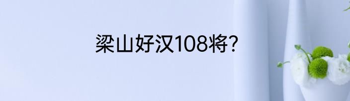 梁山好汉108将？