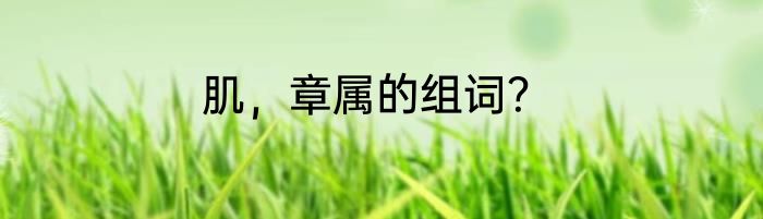 肌，章属的组词？