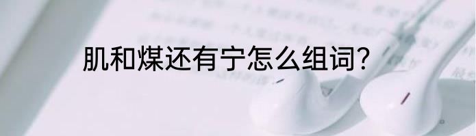 肌和煤还有宁怎么组词？