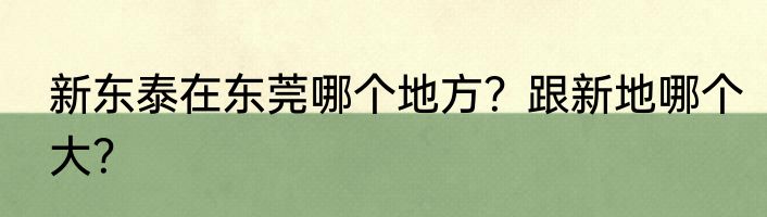 新东泰在东莞哪个地方？跟新地哪个大？