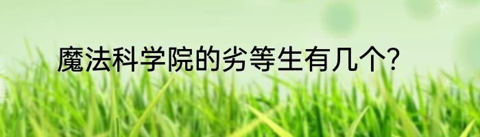 魔法科学院的劣等生有几个？