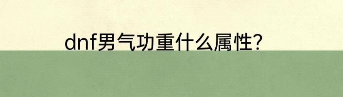 dnf男气功重什么属性？