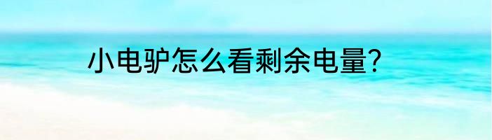 小电驴怎么看剩余电量？