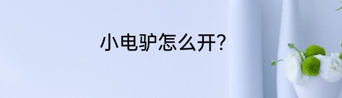 小电驴怎么开？