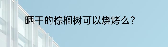 晒干的棕榈树可以烧烤么？
