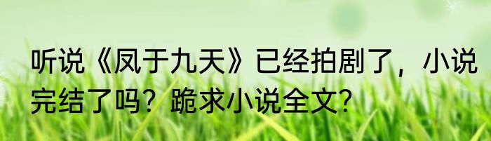 听说《凤于九天》已经拍剧了，小说完结了吗？跪求小说全文？