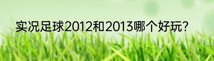 实况足球2012和2013哪个好玩？