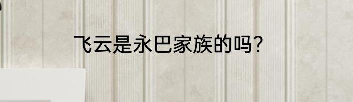 飞云是永巴家族的吗？