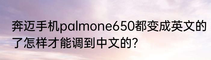 奔迈手机palmone650都变成英文的了怎样才能调到中文的？