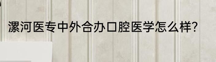 漯河医专中外合办口腔医学怎么样？
