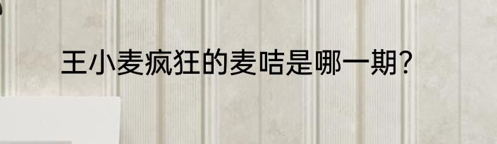 王小麦疯狂的麦咭是哪一期？