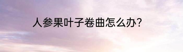 人参果叶子卷曲怎么办？
