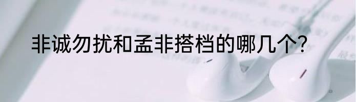 非诚勿扰和孟非搭档的哪几个？