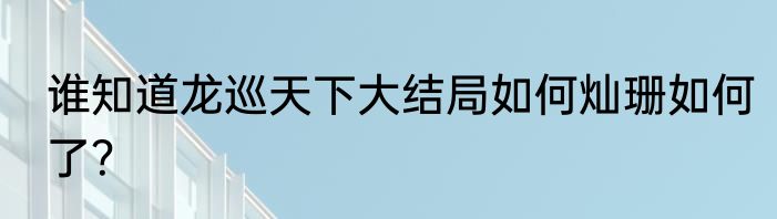 谁知道龙巡天下大结局如何灿珊如何了？