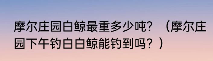 神龙斗士七魂龙神丸所有形态？
