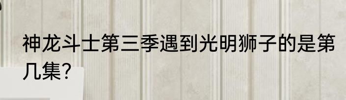 神龙斗士第三季遇到光明狮子的是第几集？