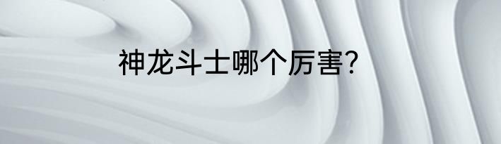 神龙斗士哪个厉害？