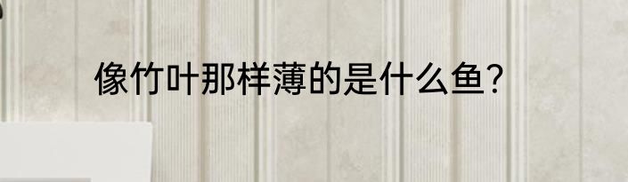 像竹叶那样薄的是什么鱼？