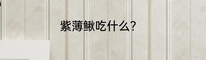 紫薄鳅吃什么？
