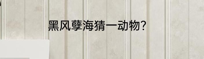黑风孽海猜一动物？