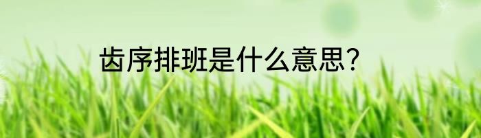 齿序排班是什么意思？
