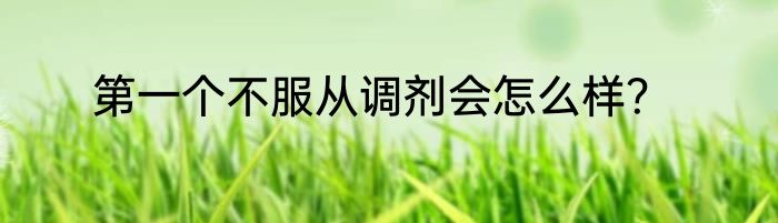 第一个不服从调剂会怎么样？