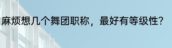 麻烦想几个舞团职称，最好有等级性？