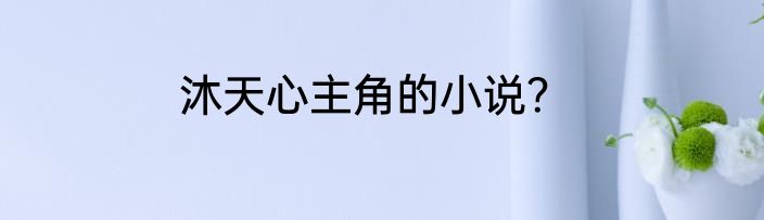 沐天心主角的小说？