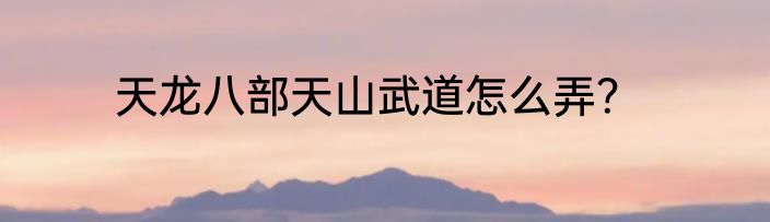 天龙八部天山武道怎么弄？