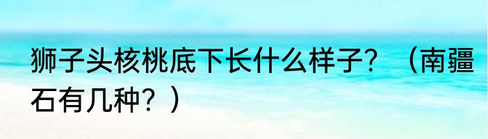 狮子头核桃底下长什么样子？（南疆石有几种？）