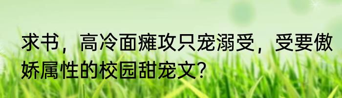 求书，高冷面瘫攻只宠溺受，受要傲娇属性的校园甜宠文？