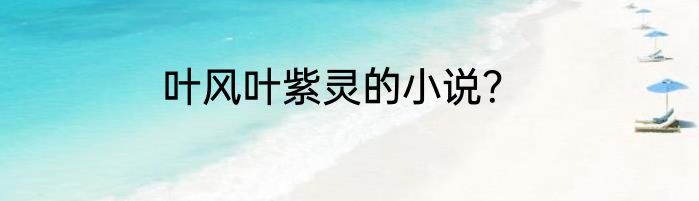 叶风叶紫灵的小说？