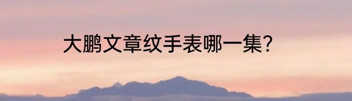 大鹏文章纹手表哪一集？