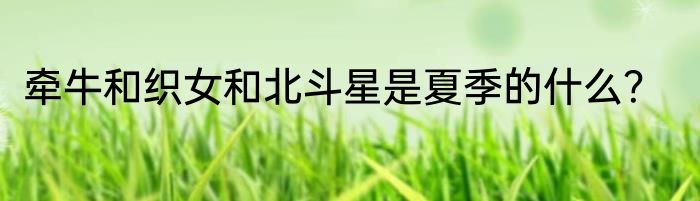 牵牛和织女和北斗星是夏季的什么？