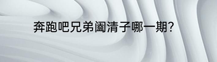 奔跑吧兄弟阖清子哪一期？