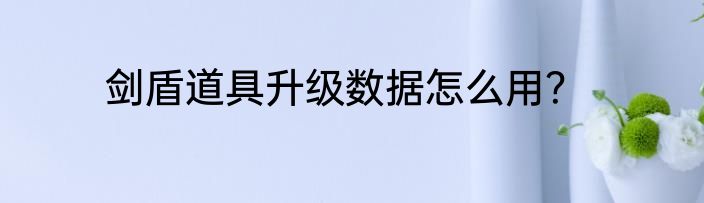 剑盾道具升级数据怎么用？