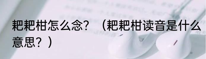 耙耙柑怎么念？（耙耙柑读音是什么意思？）