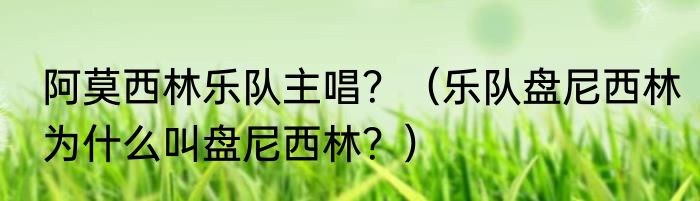 阿莫西林乐队主唱？（乐队盘尼西林为什么叫盘尼西林？）