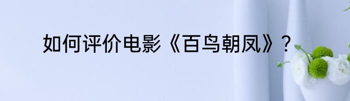 如何评价电影《百鸟朝凤》？
