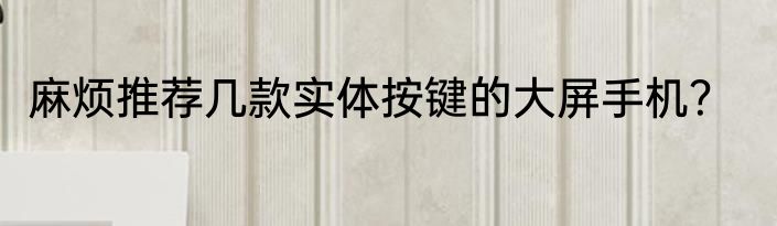 麻烦推荐几款实体按键的大屏手机？