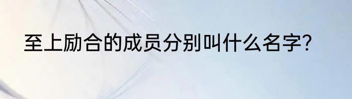 至上励合的成员分别叫什么名字？