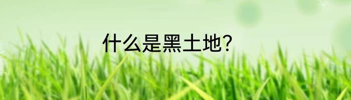 什么是黑土地？