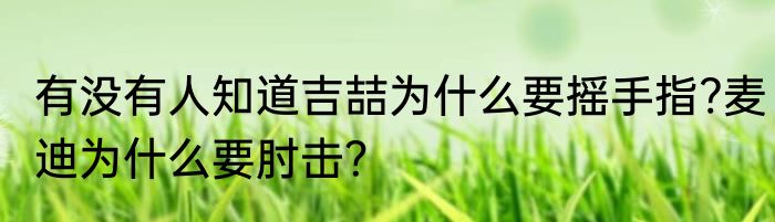 有没有人知道吉喆为什么要摇手指?麦迪为什么要肘击？