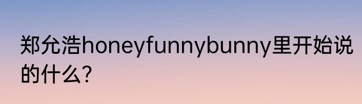 郑允浩honeyfunnybunny里开始说的什么？