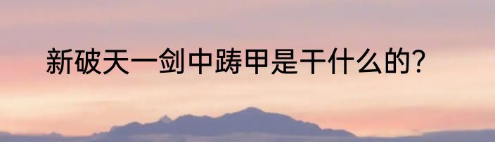 新破天一剑中踌甲是干什么的？
