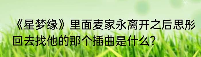 《星梦缘》里面麦家永离开之后思彤回去找他的那个插曲是什么？