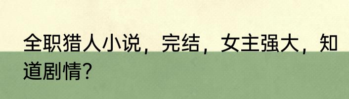 全职猎人小说，完结，女主强大，知道剧情？