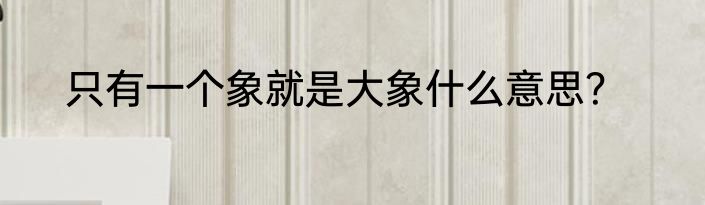 只有一个象就是大象什么意思？