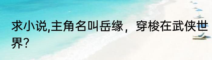 求小说,主角名叫岳缘，穿梭在武侠世界？